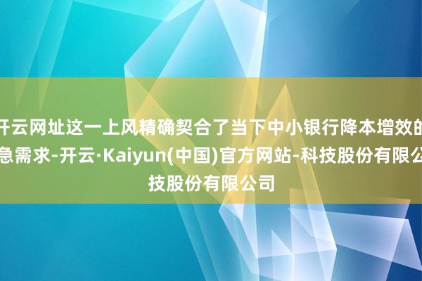 开云网址这一上风精确契合了当下中小银行降本增效的遑急需求-开