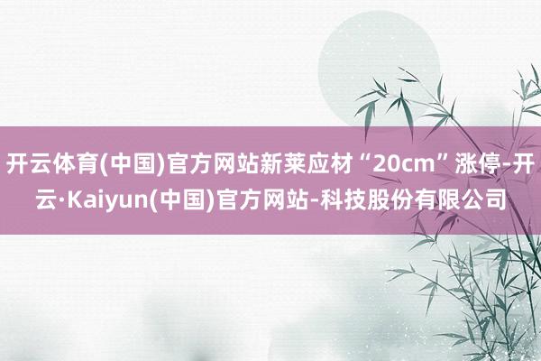 开云体育(中国)官方网站新莱应材“20cm”涨停-开云·Ka