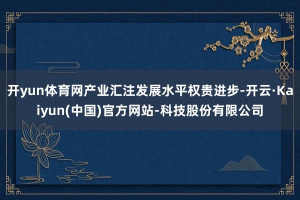 开yun体育网产业汇注发展水平权贵进步-开云·Kaiyun(中国)官方网站-科技股份有限公司