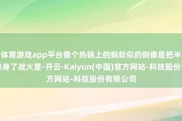 体育游戏app平台像个热锅上的蚂蚁似的倒像是把半条腿都跻身了战火里-开云·Kaiyun(中国)官方网站-科技股份有限公司