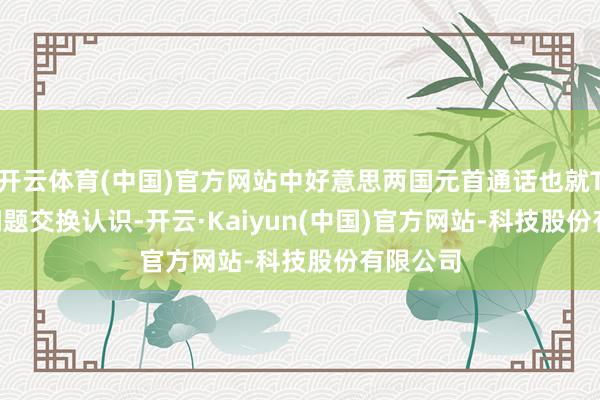 开云体育(中国)官方网站中好意思两国元首通话也就TikTok