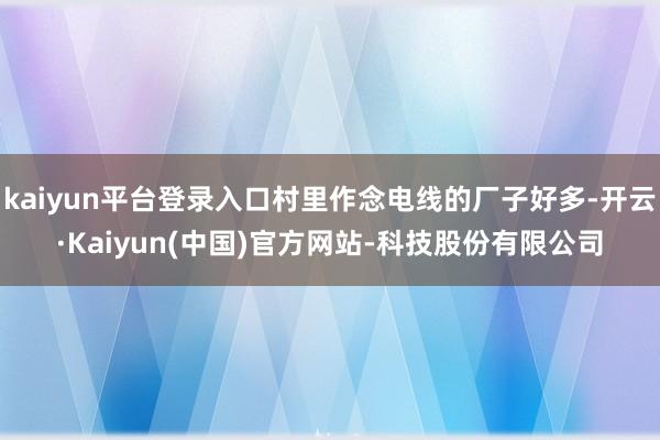 kaiyun平台登录入口村里作念电线的厂子好多-开云·Kai